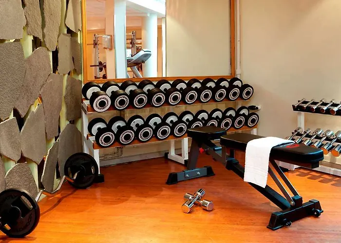 Radisson Blu Airport Hotel, Oslo 4* Garder